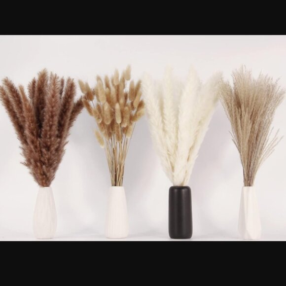 100 PCS Boho Pampas Grass Tails Dried Flowers - Picture 2 of 7